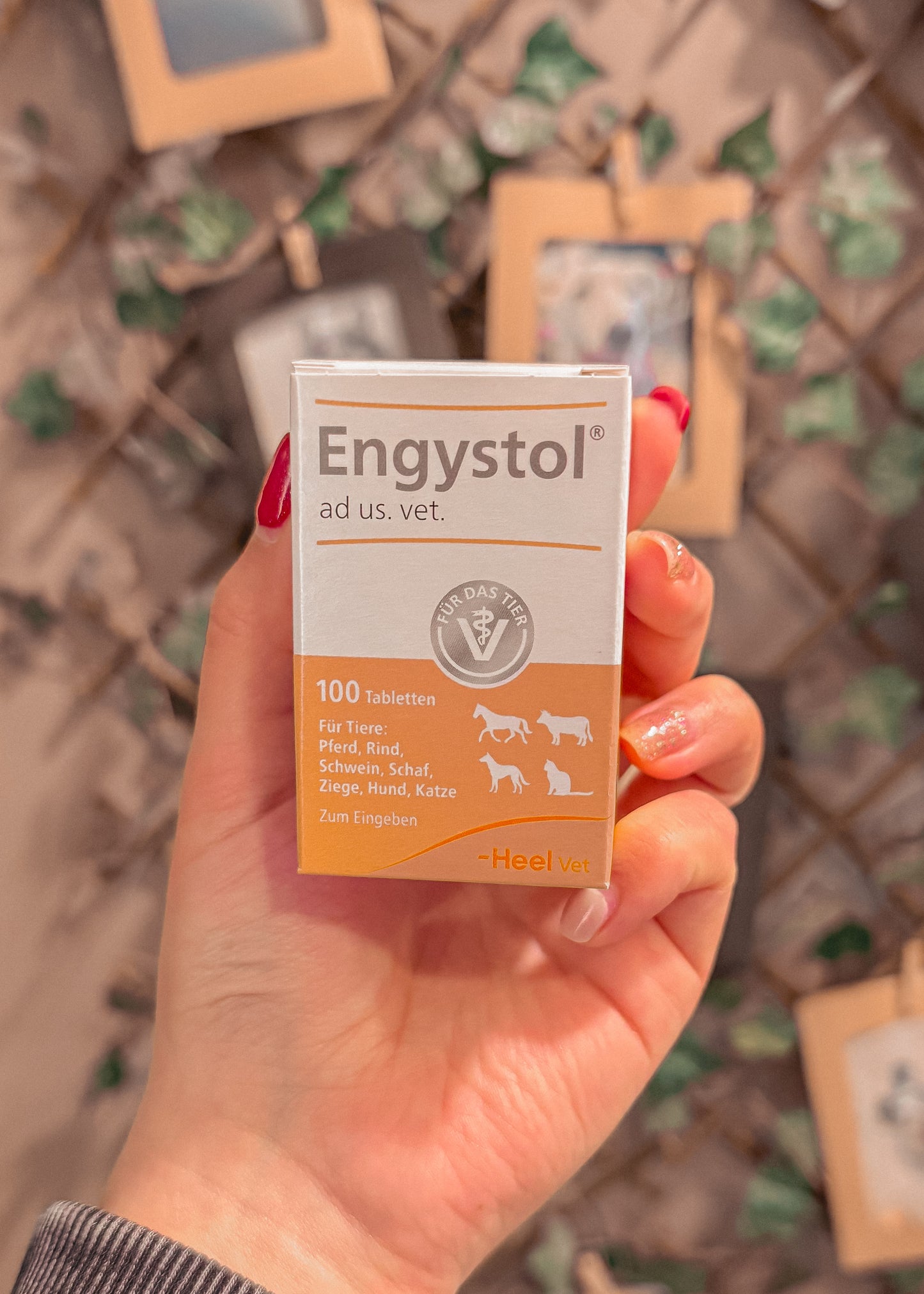 Engystol Vet 100 comprimidos