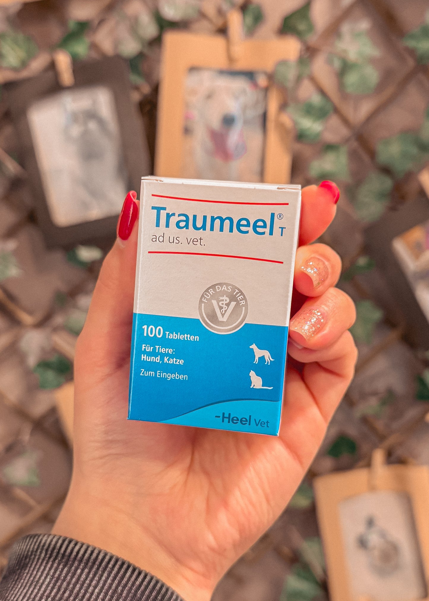 Traumeel Vet 100 comprimidos