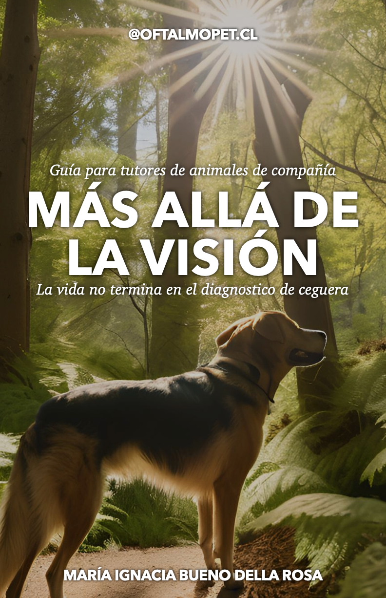 e-Book: Más allá de la visión