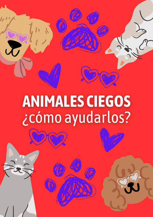 e-Book: Animales Ciegos, ¿Cómo ayudarlos?