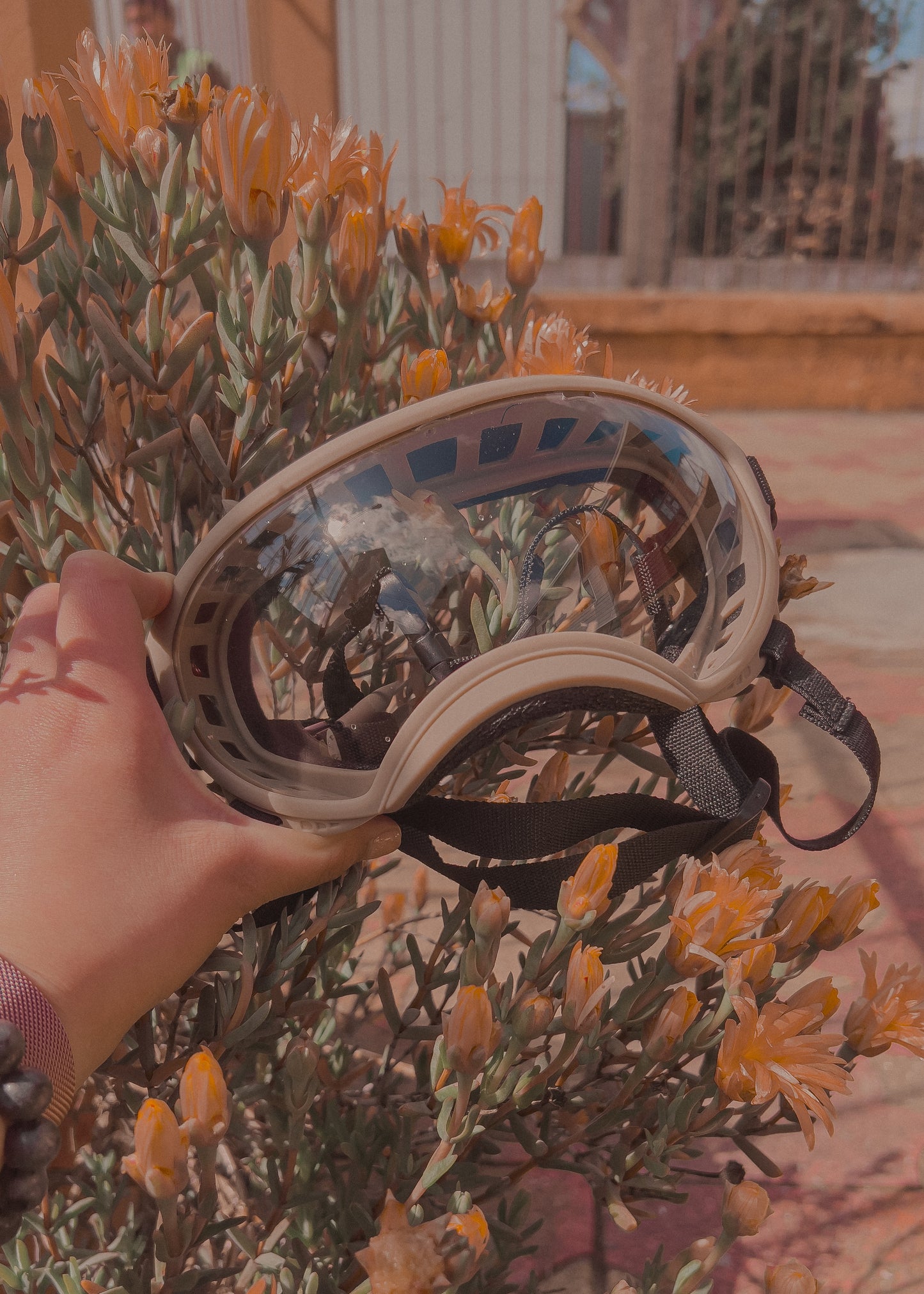 Gafas UV400 L Clara - PREVENTA