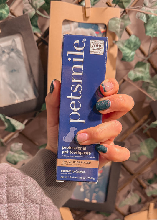 PetSmile Carne Asada