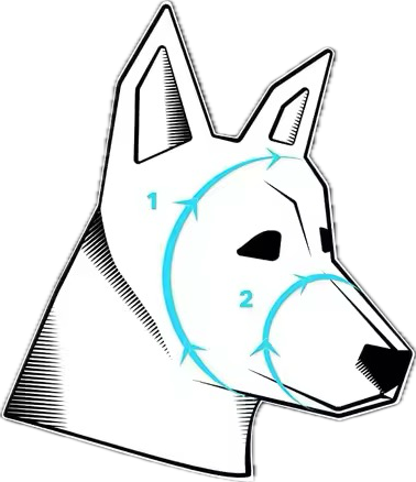 Gafas UV400 L Clara - PREVENTA