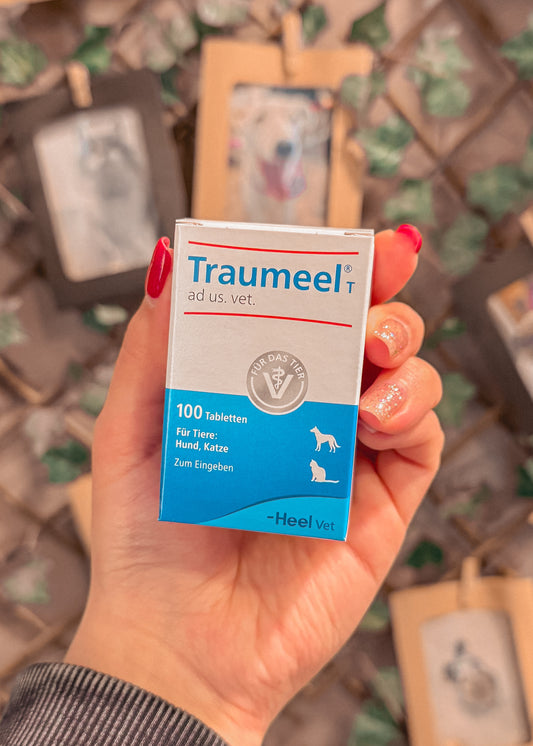 Traumeel Vet 100 comprimidos