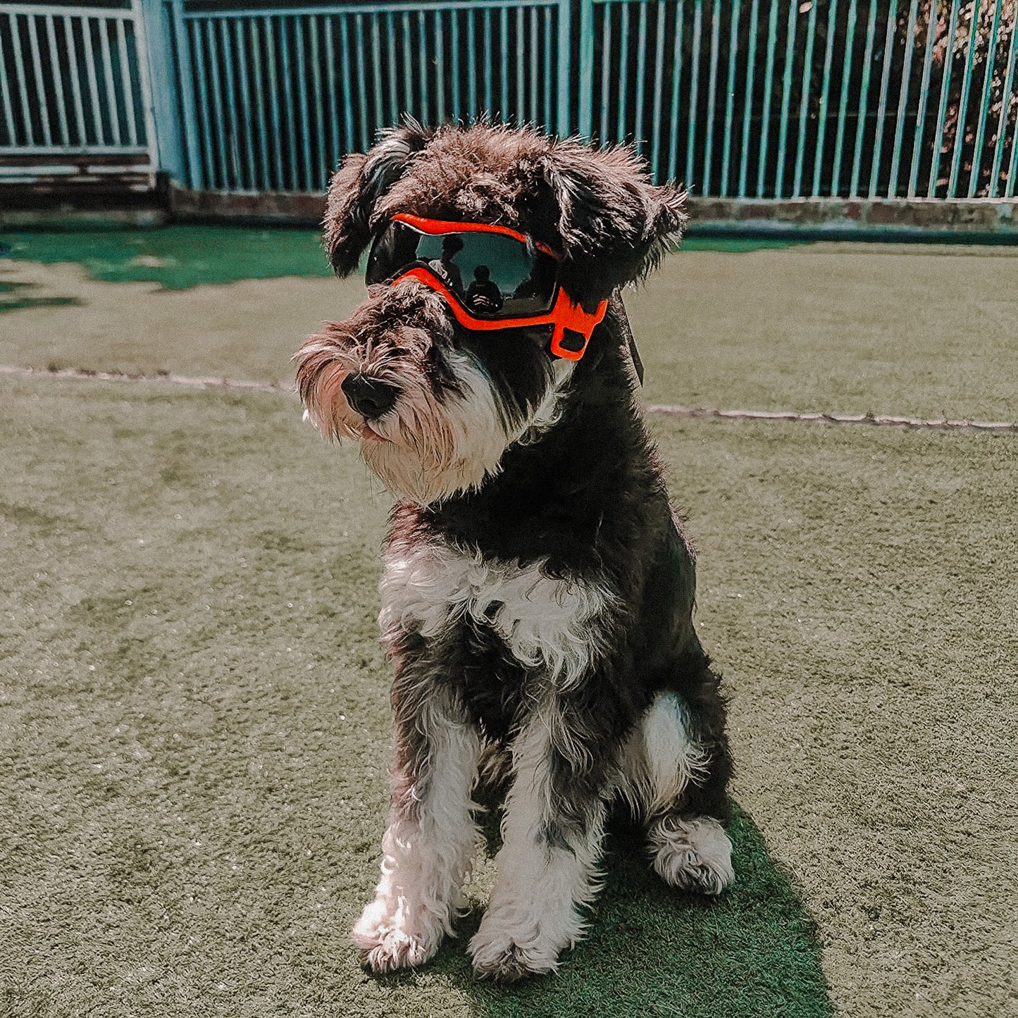 Gafas UV400 M Oscura - PREVENTA